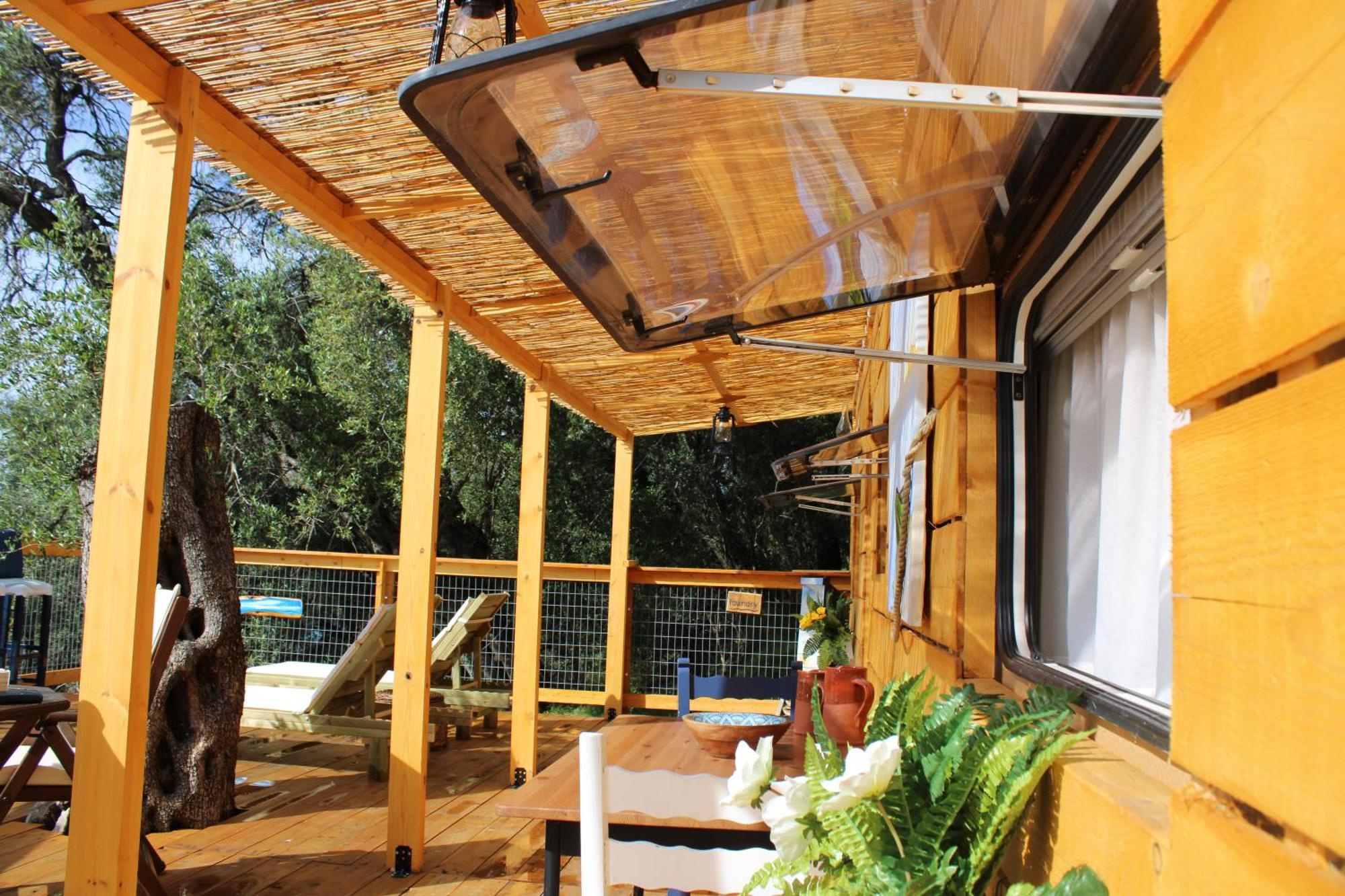 Nature Habitat Pentati Luaran gambar
